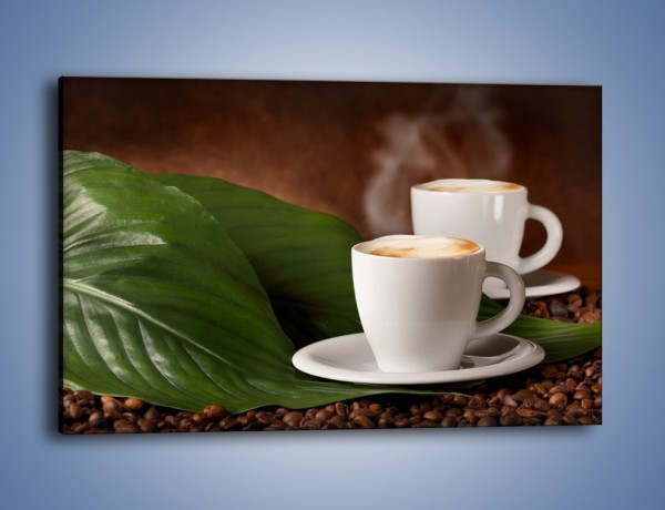 Obraz na płótnie – Kawa na eukaliptusie – jednoczęściowy prostokątny poziomy JN576