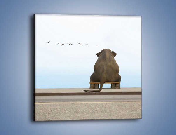 Obraz na płótnie – Przemyślenia słonia w samotności – jednoczęściowy kwadratowy Z120