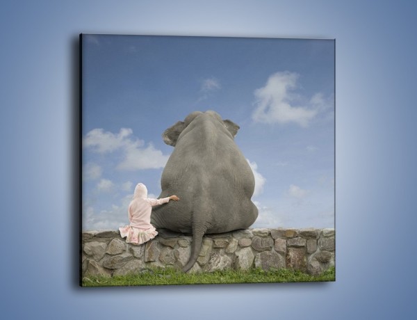 Obraz na płótnie – Przyjaźń ze słoniem na zawsze – jednoczęściowy kwadratowy Z121