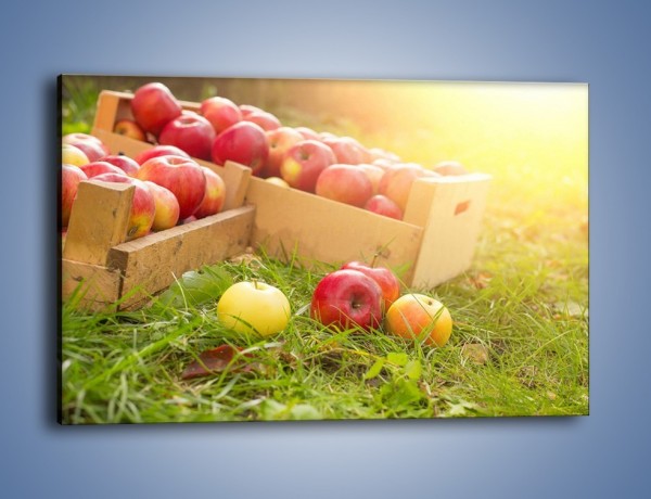 Obraz na płótnie – Jabłka skąpane w trawie – jednoczęściowy prostokątny poziomy JN628