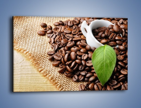 Obraz na płótnie – Liść na kawie – jednoczęściowy prostokątny poziomy JN688