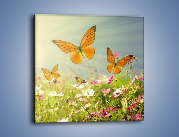 Obraz na płótnie – Z motylem wśród kwiatów – jednoczęściowy kwadratowy Z193