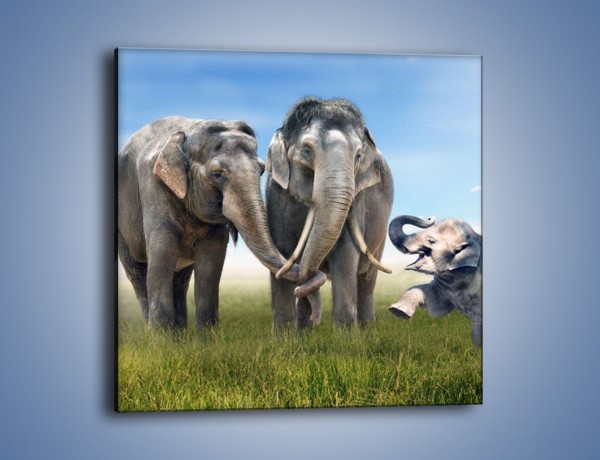 Obraz na płótnie – Przebij łapę ze słoniątkiem – jednoczęściowy kwadratowy Z208
