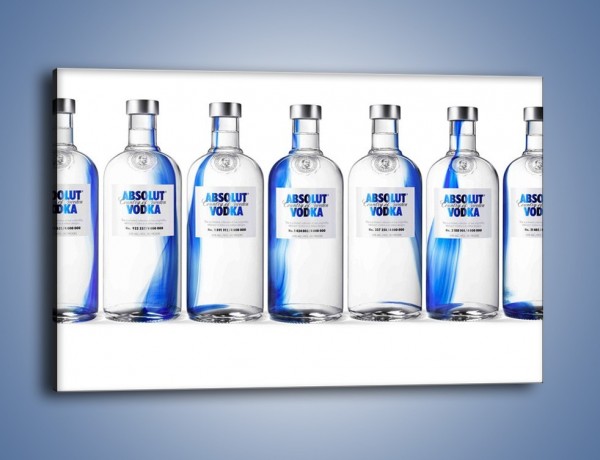 Obraz na płótnie – Czysta wódka w butelkach – jednoczęściowy prostokątny poziomy JN748