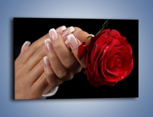 Obraz na płótnie – Kwiat róży w kobiecych dłoniach – jednoczęściowy prostokątny poziomy K006