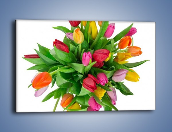 Obraz na płótnie – Wiązanka kolorowych tulipanów – jednoczęściowy prostokątny poziomy K019