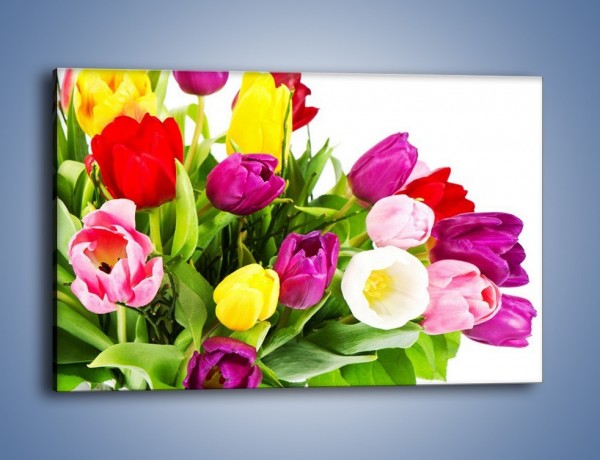 Obraz na płótnie – Kolorowe tulipany w pęku – jednoczęściowy prostokątny poziomy K023