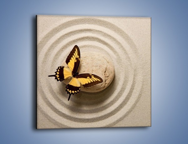 Obraz na płótnie – Samotność motyla – jednoczęściowy kwadratowy Z223