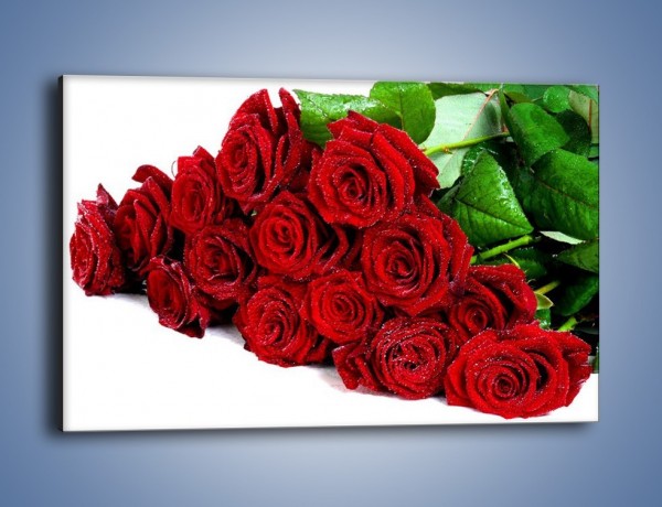 Obraz na płótnie – Oszronione czerwone róże – jednoczęściowy prostokątny poziomy K047