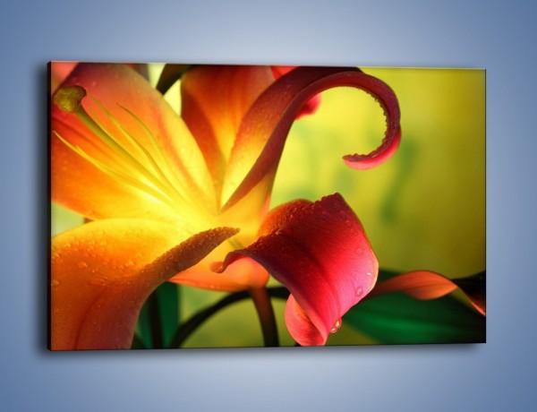 Obraz na płótnie – Rozwinięta lilia w kolorze słońca – jednoczęściowy prostokątny poziomy K054