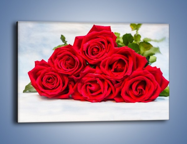 Obraz na płótnie – Czerwone róże bez kolców – jednoczęściowy prostokątny poziomy K1021