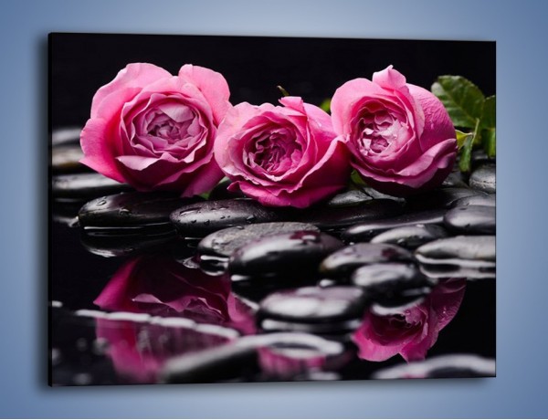 Obraz na płótnie – Malutkie różane trio – jednoczęściowy prostokątny poziomy K1027
