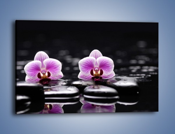 Obraz na płótnie – Duet kwiatowy i czarna woda – jednoczęściowy prostokątny poziomy K1029