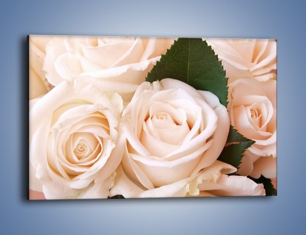 Obraz na płótnie – Liść wśród bezowych róż – jednoczęściowy prostokątny poziomy K104