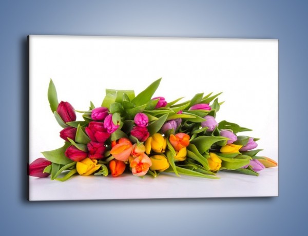 Obraz na płótnie – Kolorowe tulipany pełne luzu – jednoczęściowy prostokątny poziomy K117