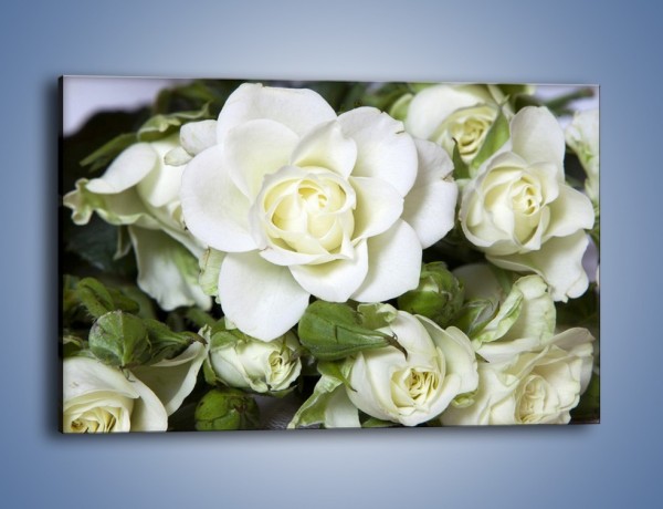 Obraz na płótnie – Białe róże na stole – jednoczęściowy prostokątny poziomy K131