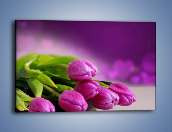 Obraz na płótnie – Tulipany w kolorze lawendy – jednoczęściowy prostokątny poziomy K133