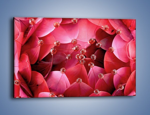 Obraz na płótnie – Koraliki wśród kwiatowych piór – jednoczęściowy prostokątny poziomy K134