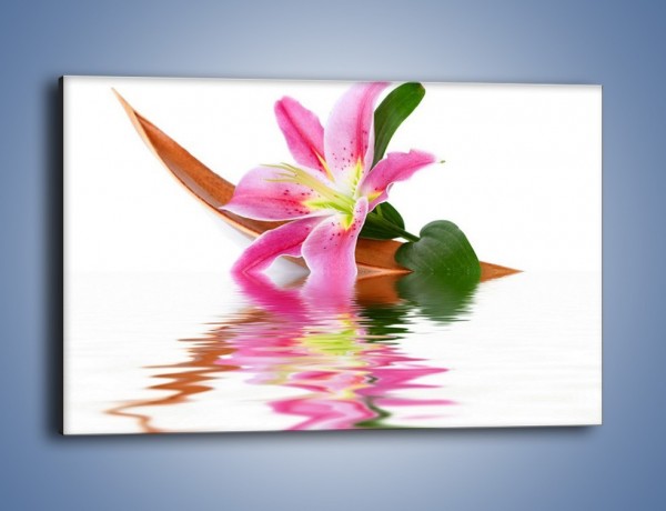 Obraz na płótnie – Odbicie wodne lilii – jednoczęściowy prostokątny poziomy K142