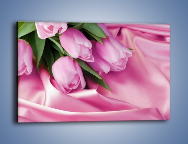 Obraz na płótnie – Atłas wśród tulipanów – jednoczęściowy prostokątny poziomy K152