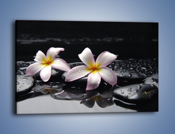 Obraz na płótnie – Delikatne kwiaty w kąpieli wodnej – jednoczęściowy prostokątny poziomy K157