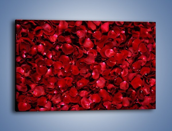 Obraz na płótnie – Dywan usłany płatkami róż – jednoczęściowy prostokątny poziomy K175