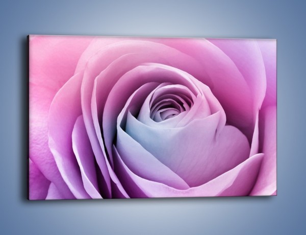 Obraz na płótnie – Pączek róży o poranku – jednoczęściowy prostokątny poziomy K178