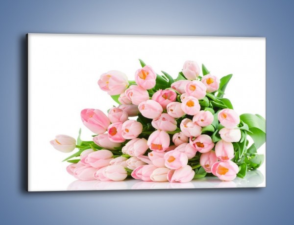 Obraz na płótnie – Wiosna w tulipanach – jednoczęściowy prostokątny poziomy K182