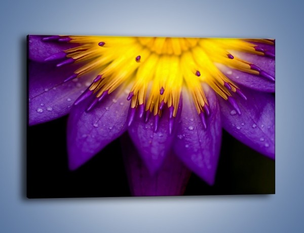 Obraz na płótnie – Baśniowy kwiat z tajemnicą – jednoczęściowy prostokątny poziomy K189