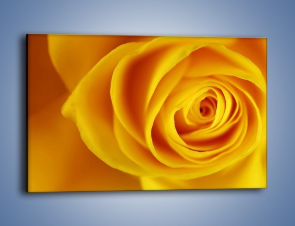 Obraz na płótnie – Kwiaty w kolorze zimy – jednoczęściowy prostokątny poziomy K191