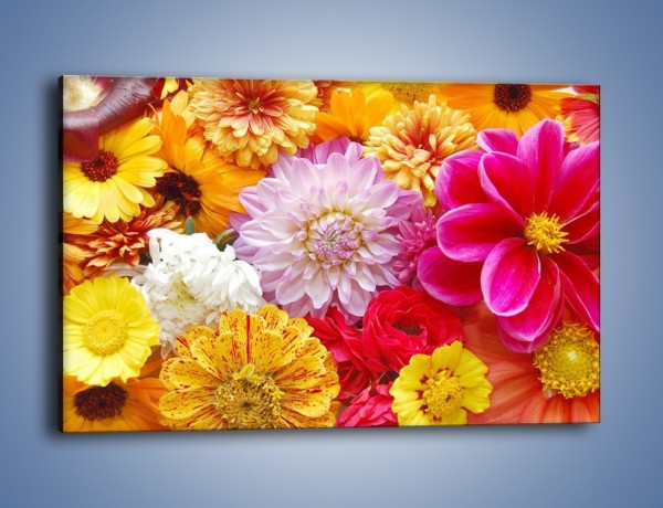 Obraz na płótnie – Letnie kwiaty z działki – jednoczęściowy prostokątny poziomy K198