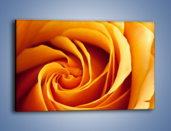 Obraz na płótnie – Wschód słońca w róży – jednoczęściowy prostokątny poziomy K204
