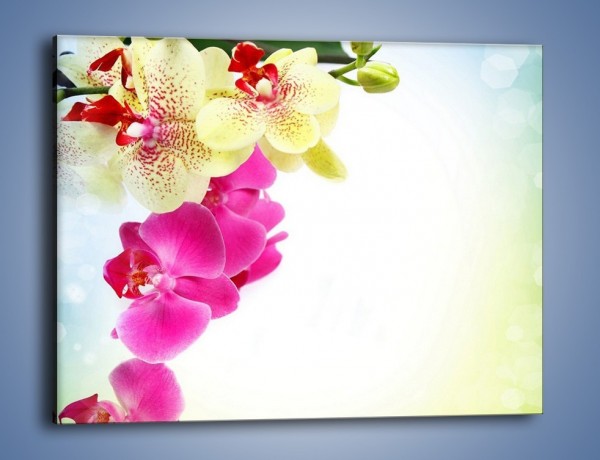 Obraz na płótnie – Krajobraz z kwiatami – jednoczęściowy prostokątny poziomy K250