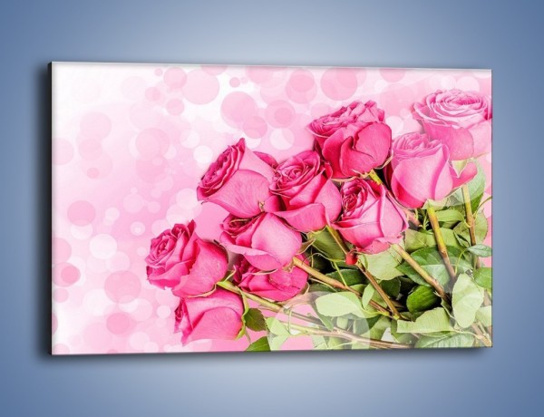 Obraz na płótnie – Słodkie bąbelkowe róże – jednoczęściowy prostokątny poziomy K261