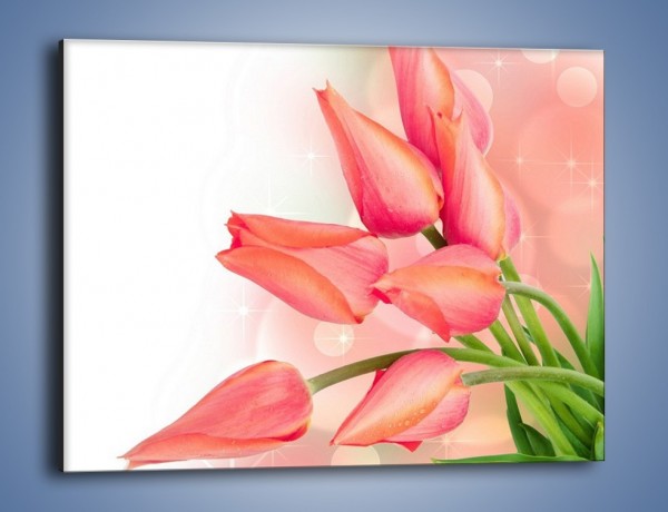 Obraz na płótnie – Dobrze zakręcone tulipany – jednoczęściowy prostokątny poziomy K265
