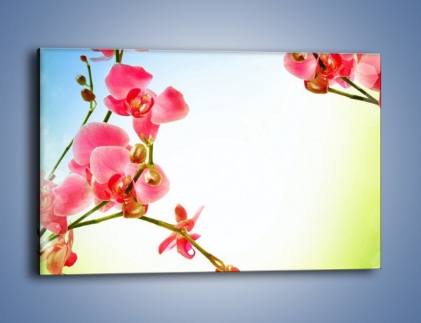 Obraz na płótnie – Akcent kwiatowy – jednoczęściowy prostokątny poziomy K268