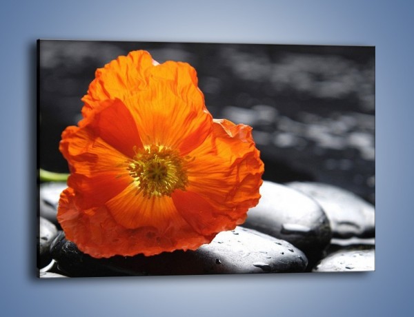 Obraz na płótnie – Woda kamień i kwiat – jednoczęściowy prostokątny poziomy K287