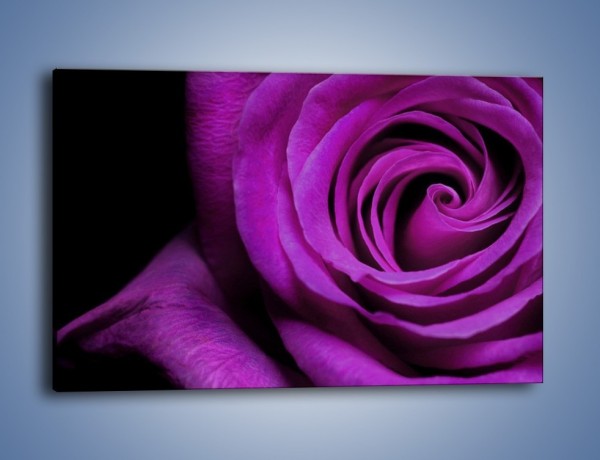 Obraz na płótnie – Tajemniczy różany fiolet – jednoczęściowy prostokątny poziomy K313