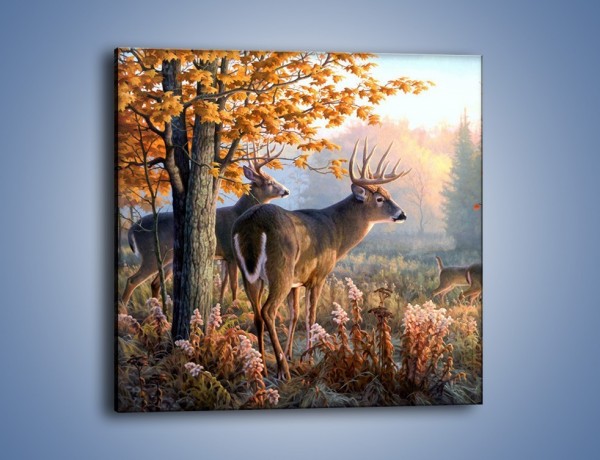 Obraz na płótnie – Randka jeleni z sarnami – jednoczęściowy kwadratowy Z343