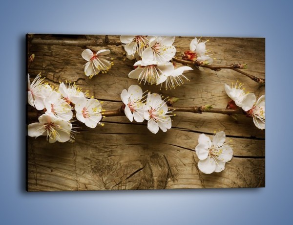 Obraz na płótnie – Kwiat jabłoni leżący na desce – jednoczęściowy prostokątny poziomy K327