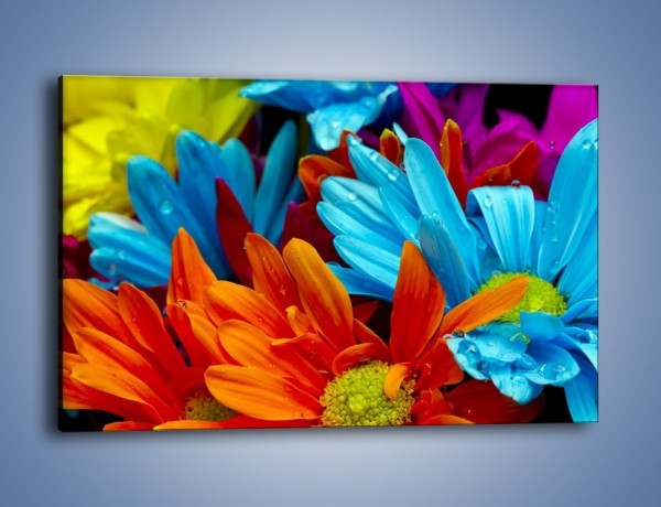Obraz na płótnie – Kolorowo i kwiatowo – jednoczęściowy prostokątny poziomy K375