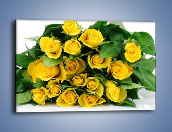 Obraz na płótnie – Wiosenny uśmiech w różach – jednoczęściowy prostokątny poziomy K379