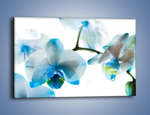 Obraz na płótnie – Turkus w kwiatach – jednoczęściowy prostokątny poziomy K382