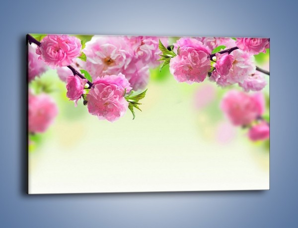 Obraz na płótnie – Gałąź chińskiej wiśni – jednoczęściowy prostokątny poziomy K403