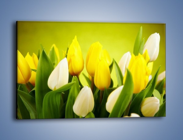 Obraz na płótnie – Nie tylko tulipany – jednoczęściowy prostokątny poziomy K425