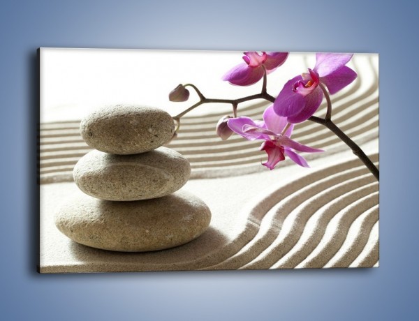 Obraz na płótnie – Kamień piasek i kwiat – jednoczęściowy prostokątny poziomy K435