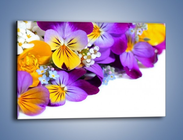 Obraz na płótnie – Ciepłe kolory w kwiatach – jednoczęściowy prostokątny poziomy K442