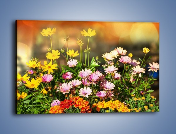 Obraz na płótnie – Polne kwiaty z uśmiechem – jednoczęściowy prostokątny poziomy K456