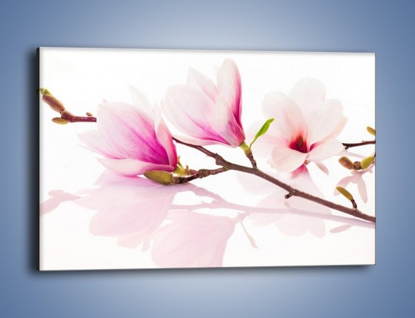 Obraz na płótnie – Lekkość w kwiatach wiśni – jednoczęściowy prostokątny poziomy K485