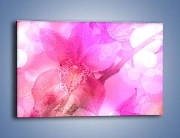 Obraz na płótnie – Budzący dzień w różowym kwiecie – jednoczęściowy prostokątny poziomy K487